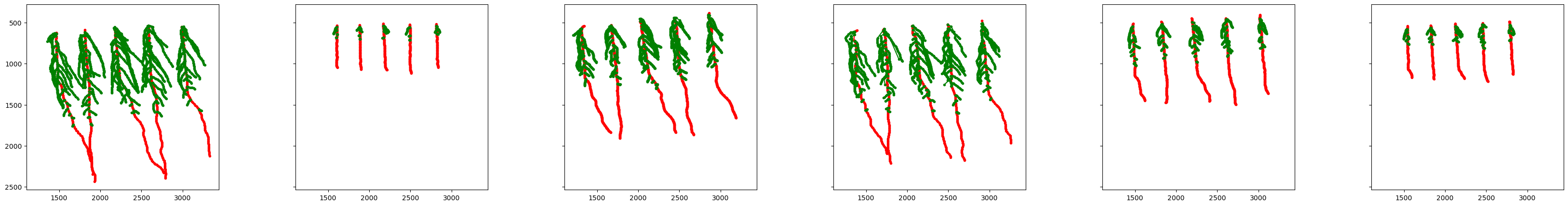 ../_images/example_RSML_tutorial_9_0.png